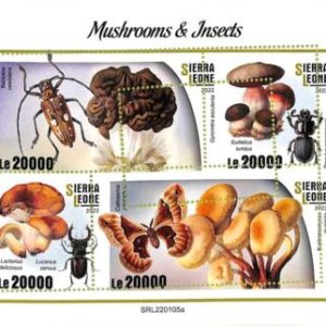 A9439 - SIERRA LEONE -  ERROR MISPERF Stamp Sheet - 2022 - Mushrooms Insects