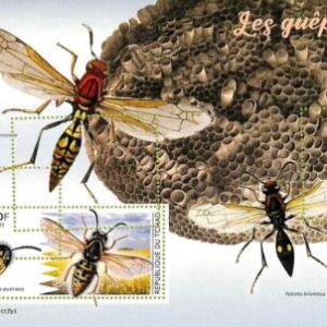 A9563 - TCHAD -  ERROR MISPERF Stamp Sheet - 2022 - Insects, WASPS