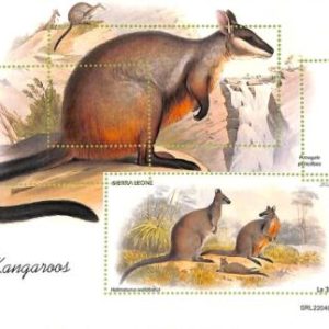 A9338 - SIERRA LEONE - ERROR MISPERF Stamp Sheet - 2022 - Kangaroos Animals