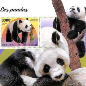 A9589 - TCHAD -  ERROR MISPERF Stamp Sheet - 2021 - PANDAS, Animals