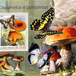 A9237 - S.TOME E PRINCIPE - ERROR MISPERF Stamp Sheet - 2021 - Mushrooms