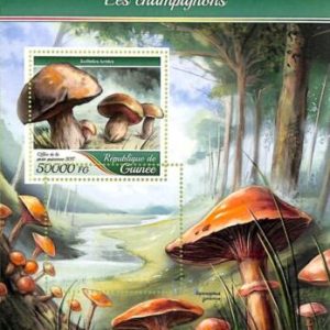 A9519 - REP.GUINEE - ERROR MISPERF Stamp Sheet - 2022 - Mushrooms, Plants