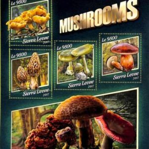 A9444 - SIERRA LEONE -  ERROR MISPERF Stamp Sheet - 2017 - Mushrooms