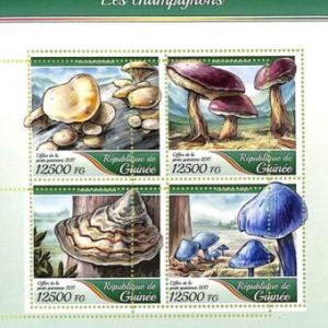 A9520 - REP.GUINEE - ERROR MISPERF Stamp Sheet - 2017 - Mushrooms, Plants