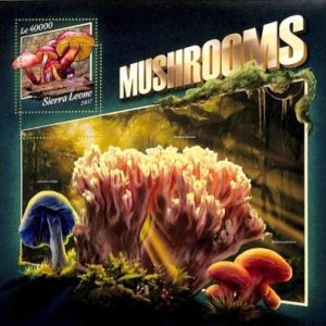 A9445 - SIERRA LEONE -  ERROR MISPERF Stamp Sheet - 2017 - Mushrooms