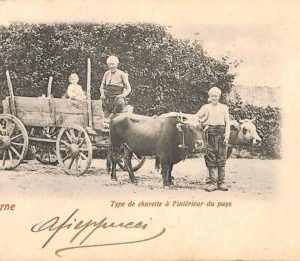 ac1122 - Ansichtskarten VINTAGE   POSTCARD - TURKEY  - Smyrne - 1901