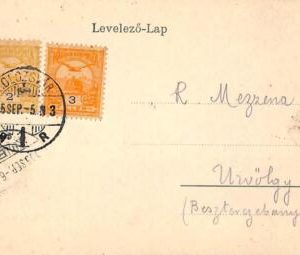 ac1789 - HUNGARY - POSTAL HISTORY - VINTAGE  POSTCARD  -1905