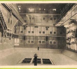 ae9505 - Ansichtskarten  VINTAGE  POSTCARD - CROATIA - Brioni
