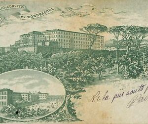 ab0898 - VINTAGE POSTCARD - ROME City