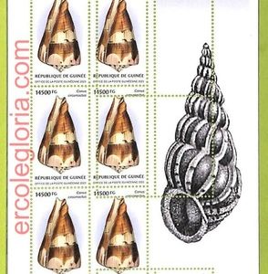 B0781 - GUINEE - ERROR MISPERF  Stamp Sheet - 2023 - Fauna, Clams