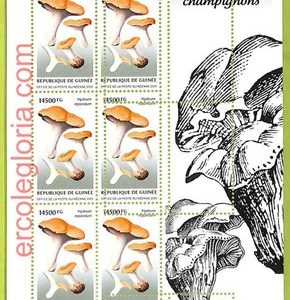 B0782 - GUINEE - ERROR MISPERF  Stamp Sheet - 2023 - Fauna, Clams