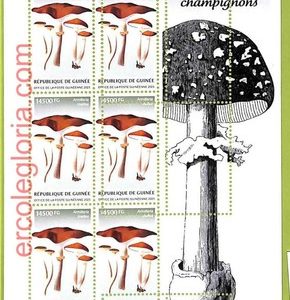 B0780 - GUINEE - ERROR MISPERF  Stamp Sheet - 2023 - Plants, Mushrooms