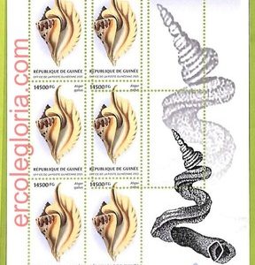 B0779 - GUINEE - ERROR MISPERF  Stamp Sheet - 2023 - Fauna, Clams