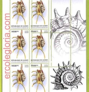 B0778 - GUINEE - ERROR MISPERF  Stamp Sheet - 2023 - Fauna, Clams