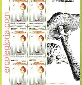 B0775 - GUINEE - ERROR MISPERF  Stamp Sheet - 2023 - Plants, Mushrooms