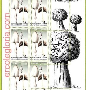 B0774 - GUINEE - ERROR MISPERF  Stamp Sheet - 2023 - Plants, Mushrooms