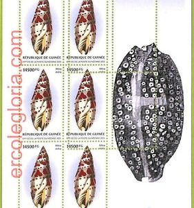 B0776 - GUINEE - ERROR MISPERF  Stamp Sheet - 2023 - Fauna, Clams