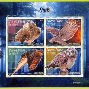 B0909 - Sierra Leone - ERROR MISPERF Stamp Sheet - 2019 - BIRDS, Owls
