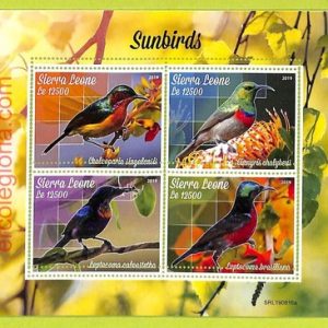 B0911 - Sierra Leone - ERROR MISPERF Stamp Sheet - 2019 - BIRDS, Sunbirds