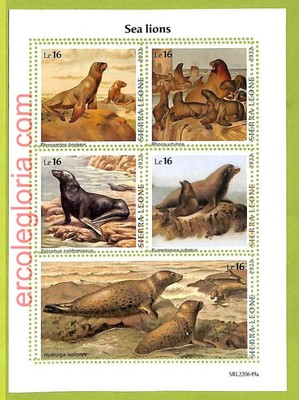 B0913 - Sierra Leone - ERROR MISPERF Stamp Sheet - 2022 - FAUNA, Sea Lions