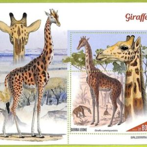 B0899 - Sierra Leone - ERROR MISPERF Stamp Sheet - 2022 - FAUNA, Giraffes