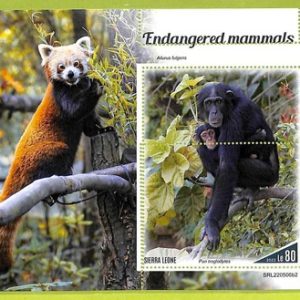 B0900 - Sierra Leone - ERROR MISPERF Stamp Sheet - 2022 - Endangered mammals