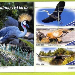 B0925 - Sierra Leone - ERROR MISPERF Stamp Sheet - 2022 - Endangered birds