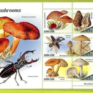 B0955 - Sierra Leone - ERROR MISPERF Stamp Sheet - 2022 - PLANTS Mushrooms