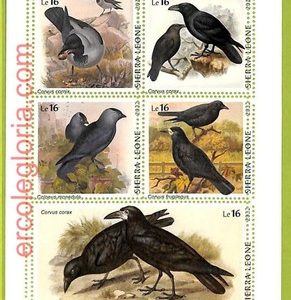 B0915 - Sierra Leone - ERROR MISPERF Stamp Sheet - 2022 - BIRDS, Corvus