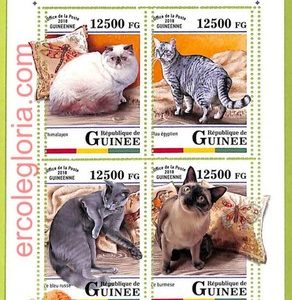 B0800 - GUINEE - ERROR MISPERF  Stamp Sheet - 2018 - FAUNA, Cats