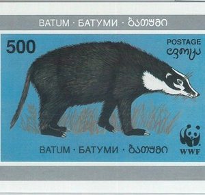 M2014  - RUSSIAN STATE  Batum , SOUVENIR SHEET:  WWF Ant eater