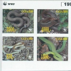 M1992 - RUSSIAN STATE, IMPERF SHEET: WWF, Snakes, Reptiles