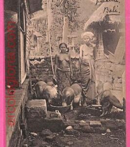 af9000 - INDONESIA - Vintage POSTCARD - Ethnic