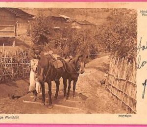 af8992 - INDONESIA - Vintage POSTCARD - Ethnic - 1921