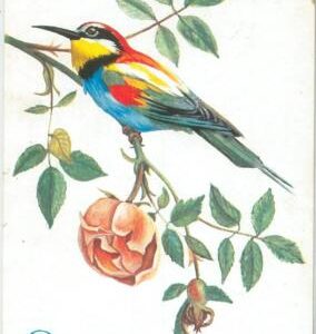 75698 - ROMANIA - Postal History - Postal Stationery Card  - Birds ROSES