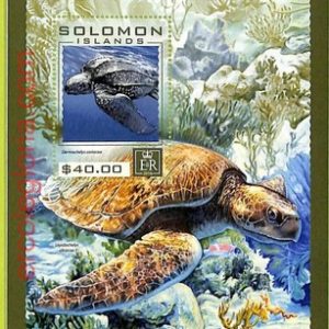 B1019 - SOLOMON ISLANDS - Stamp Sheet - 2016 - Turtles
