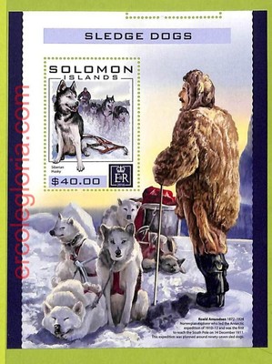 B1020 - SOLOMON ISLANDS - ERROR MISPERF Stamp Sheet - 2016 - Sledge Dogs