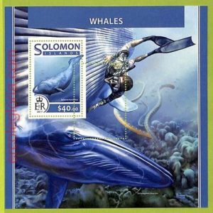 B1022 - SOLOMON ISLANDS - ERROR MISPERF Stamp Sheet - 2017 - Whales, Marine Life