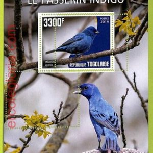 B1108 - TOGO  - ERROR MISPERF Stamp Sheet - 2019 - BIRDS