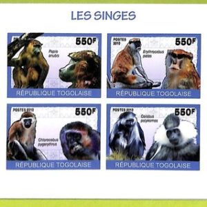 B1106 - TOGO  - ERROR IMPERF Stamp Sheet - 2010 - Monkey
