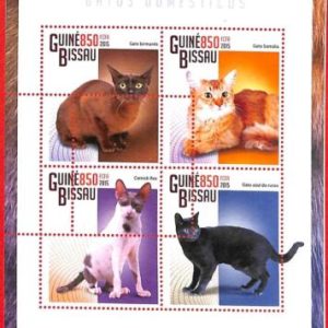 A0903 -  GUINEA-BISSAU - ERROR   MISSPERF SHEET - Animals Pets CATS 2015