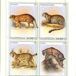 A8186 - MOCAMBIQUE - ERROR MISPERF Stamp Sheet -2021 ANIMALS Cats