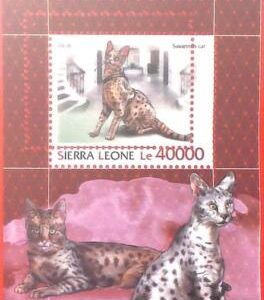 A4764 - SIERRA LEONE - ERROR MISPERF, Souvenir sheet: 2018, Savannah Cats