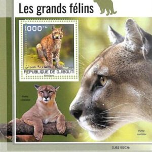 A7701 - DJIBOUTI-  ERROR MISPERF Stamp Sheet- 2021 ANIMALS Cats of prey