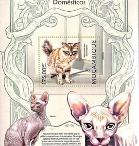 A8182 - MOCAMBIQUE - Stamp Sheet -2013 Animals CATS