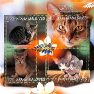 A8107a- MALDIVES -  ERROR MISPERF Stamp Sheet -2014 Animals CATS