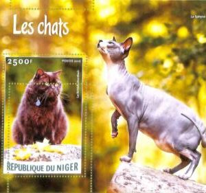A8316 - NIGER - ERROR MISPERF Stamp Sheet -2016 Animals CATS