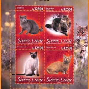 A6775 - SIERRA LEONE, Error, 2020 MISSPERF MINIATURE S: Cats, Chartreux, Siamese