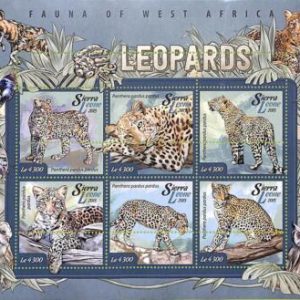 A8465 - SIERRA LEONE -ERROR MISPERF Stamp Sheet - 2015 Cats of Prey leopards