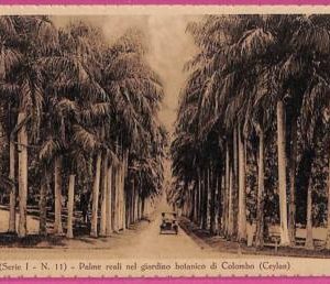 ag3689  - INDIA - VINTAGE POSTCARD